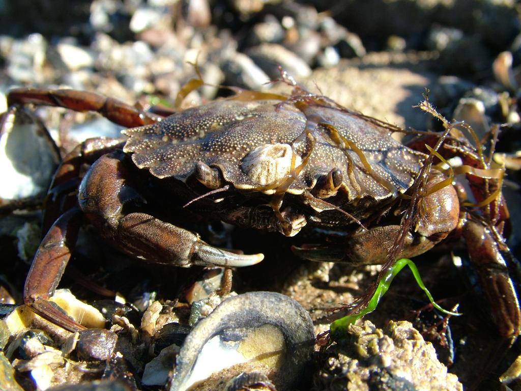 Click now to see this image full size.