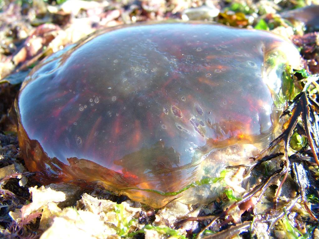 Click now to see this image full size.