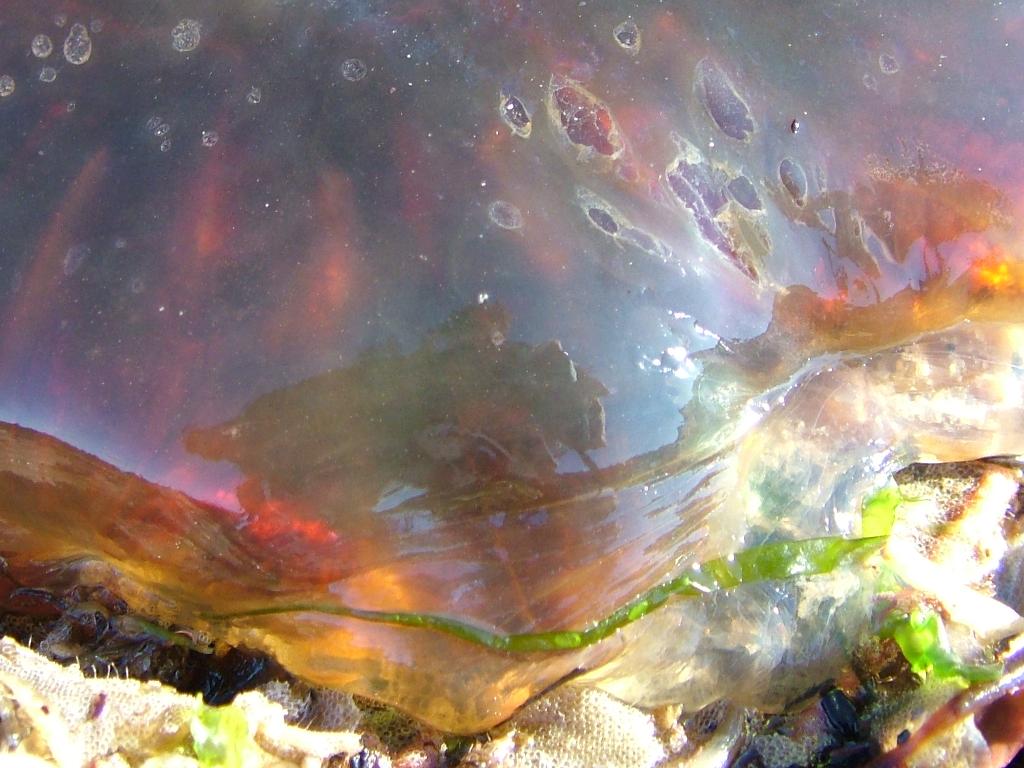 Click now to see this image full size.