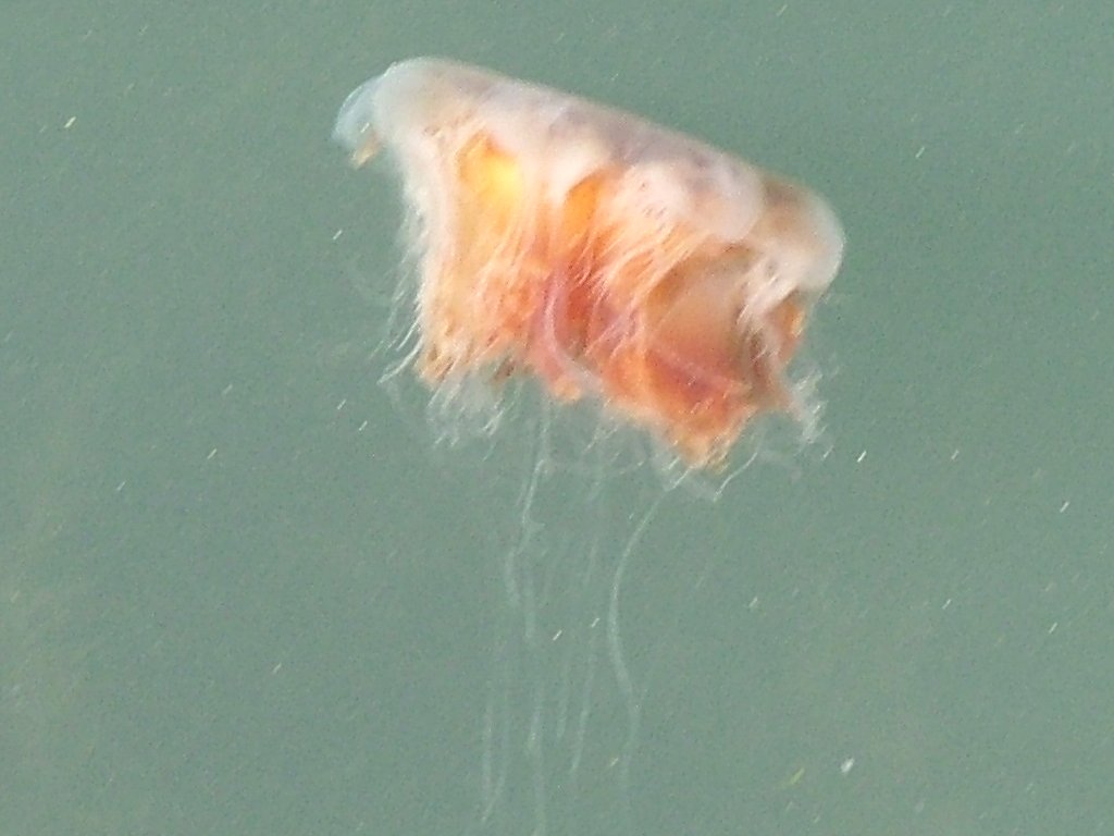 Click now to see this image full size.