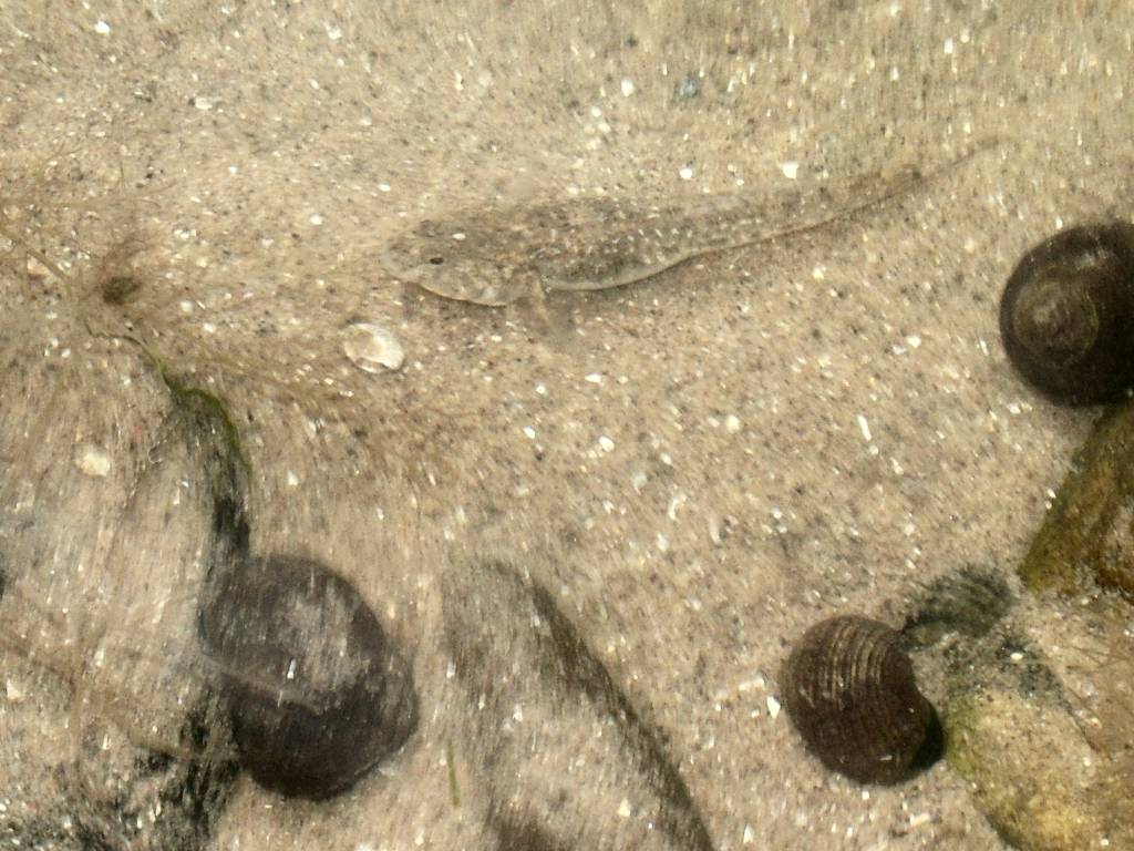 Click now to see this image full size.