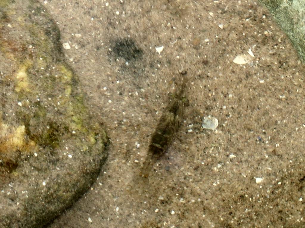 Click now to see this image full size.