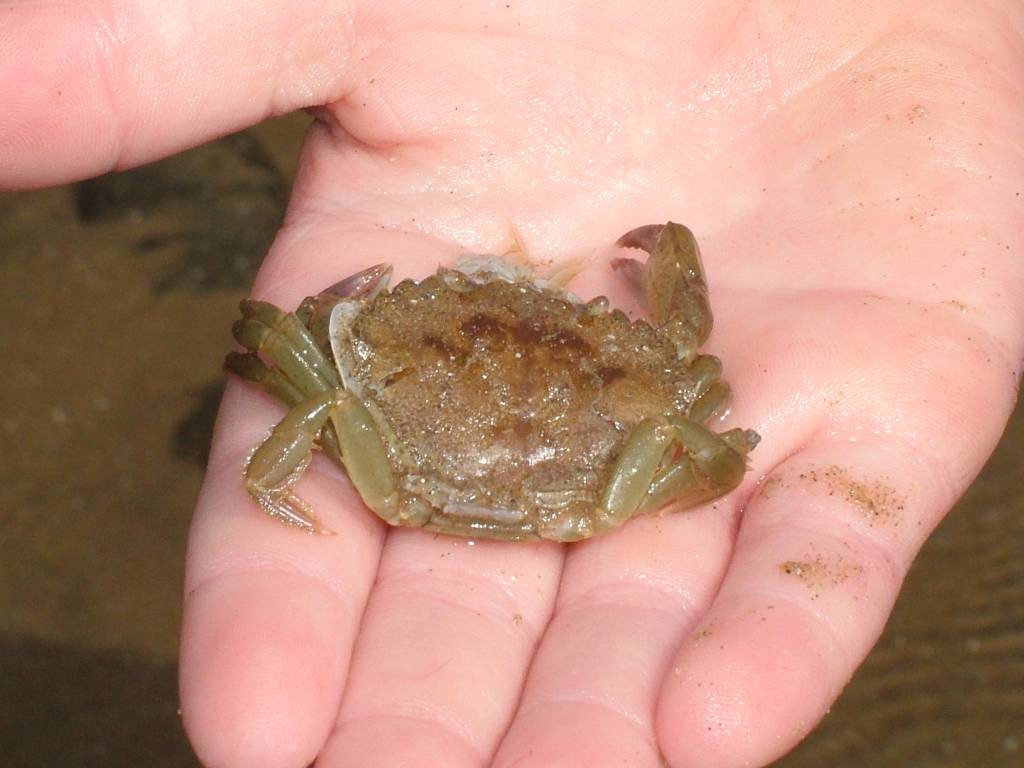 Click now to see this image full size.