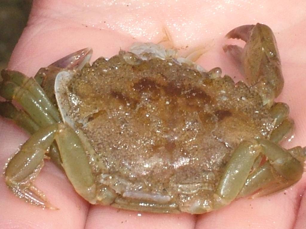 Click now to see this image full size.