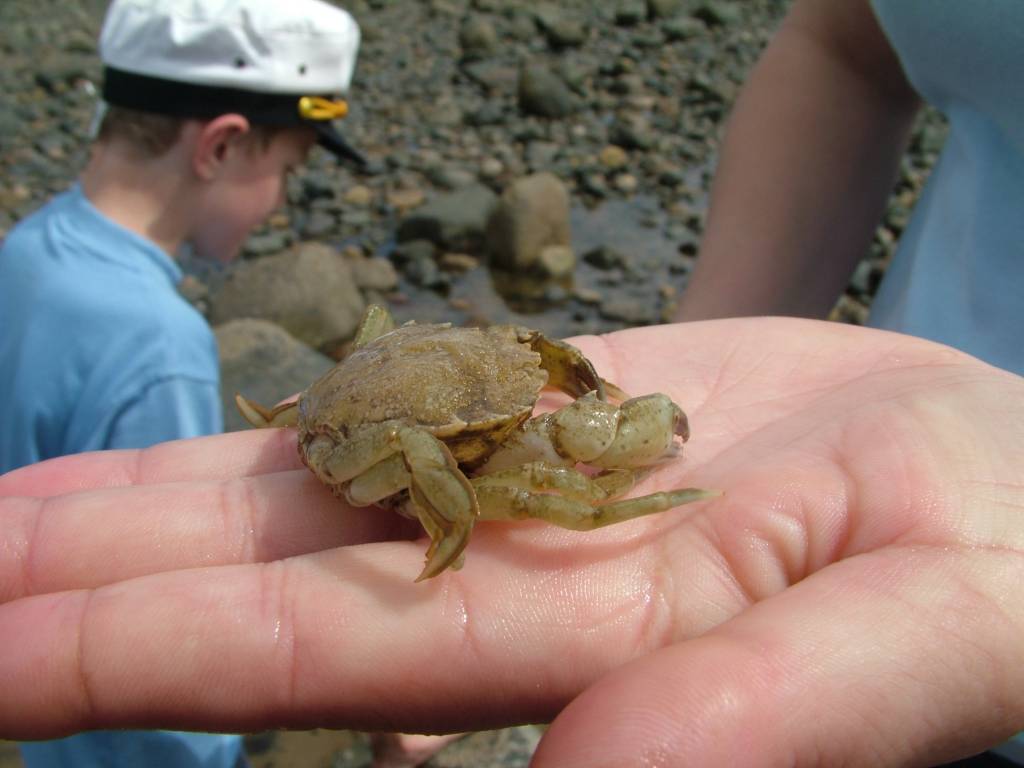 Click now to see this image full size.