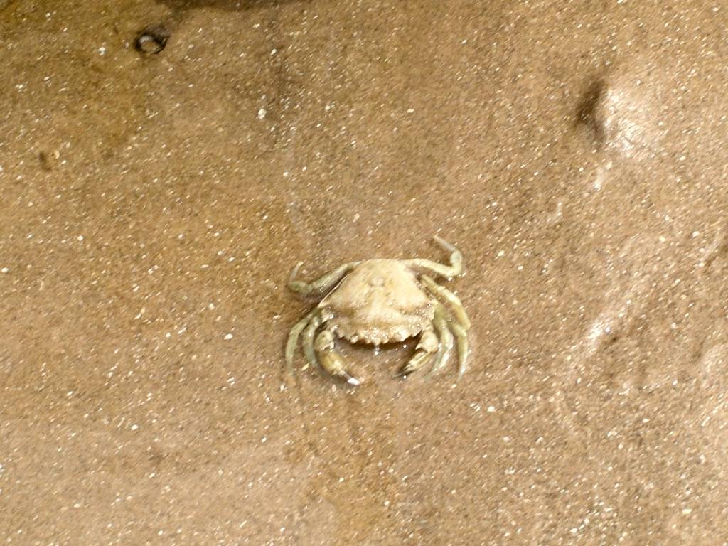 Click now to see this image full size.