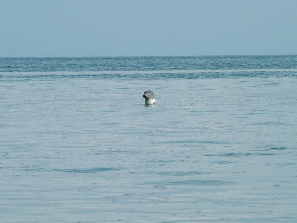 Click now to see this image full size.