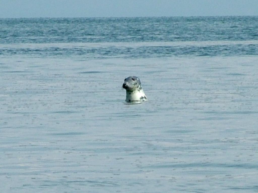 Click now to see this image full size.