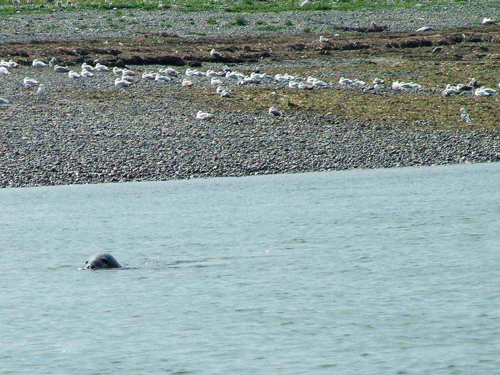 Click now to see this image full size.