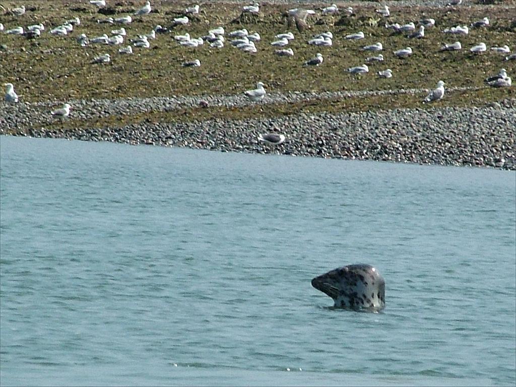 Click now to see this image full size.