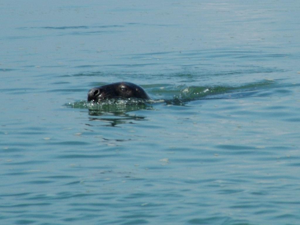 Click now to see this image full size.