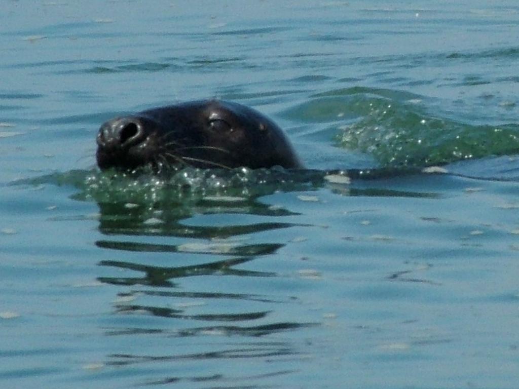 Click now to see this image full size.