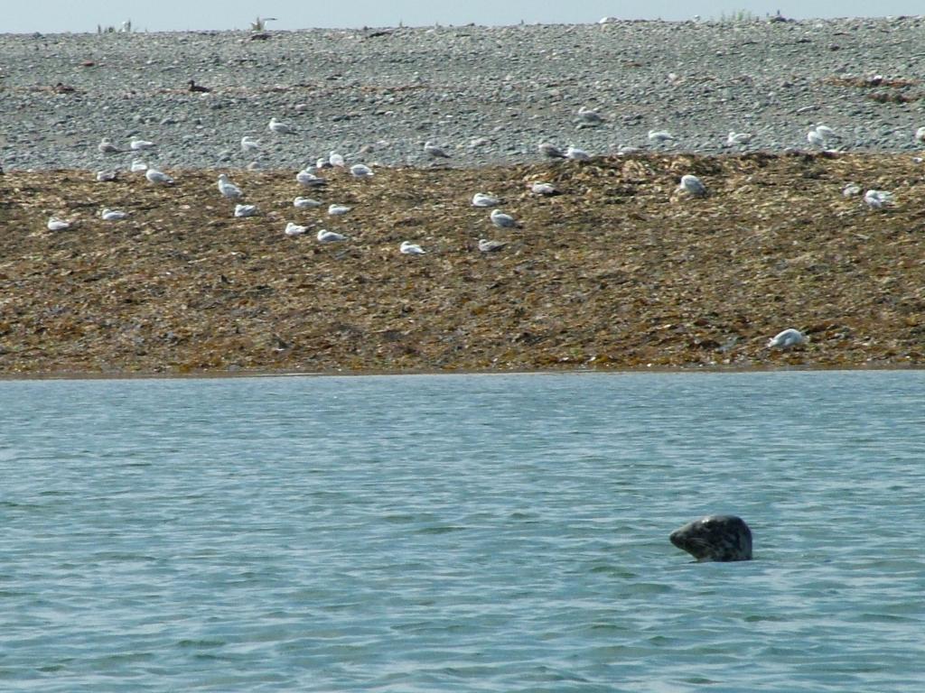 Click now to see this image full size.