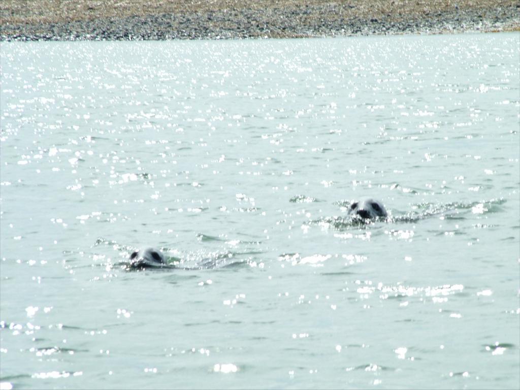 Click now to see this image full size.