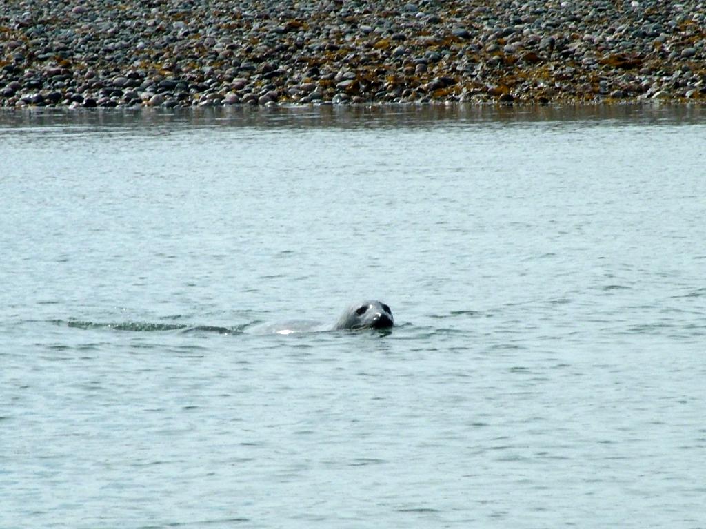 Click now to see this image full size.