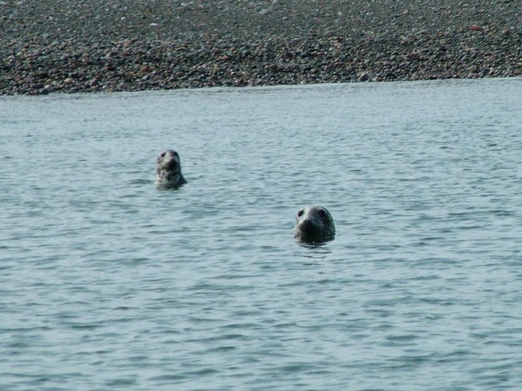 Click now to see this image full size.