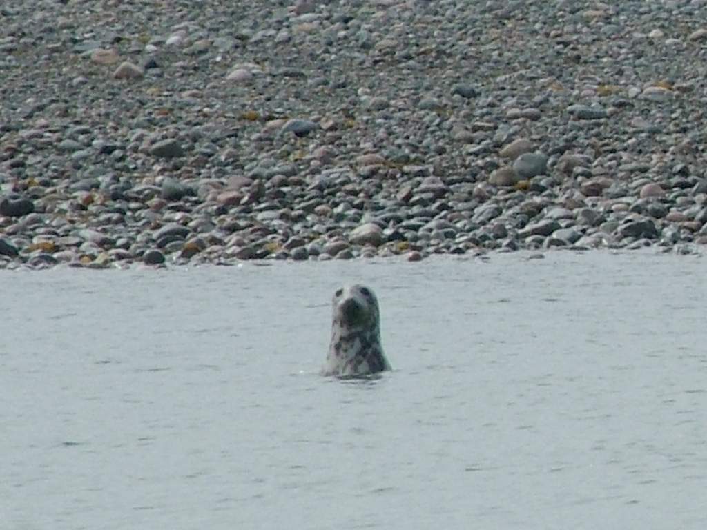 Click now to see this image full size.