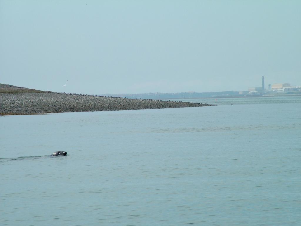 Click now to see this image full size.