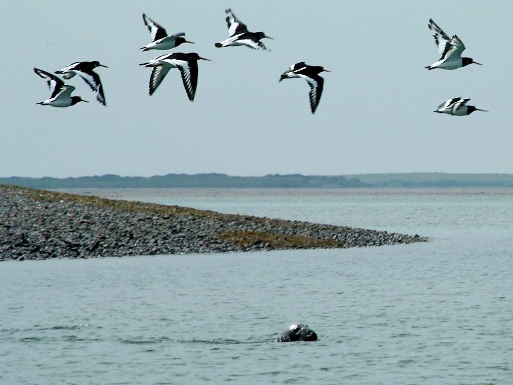 Click now to see this image full size.