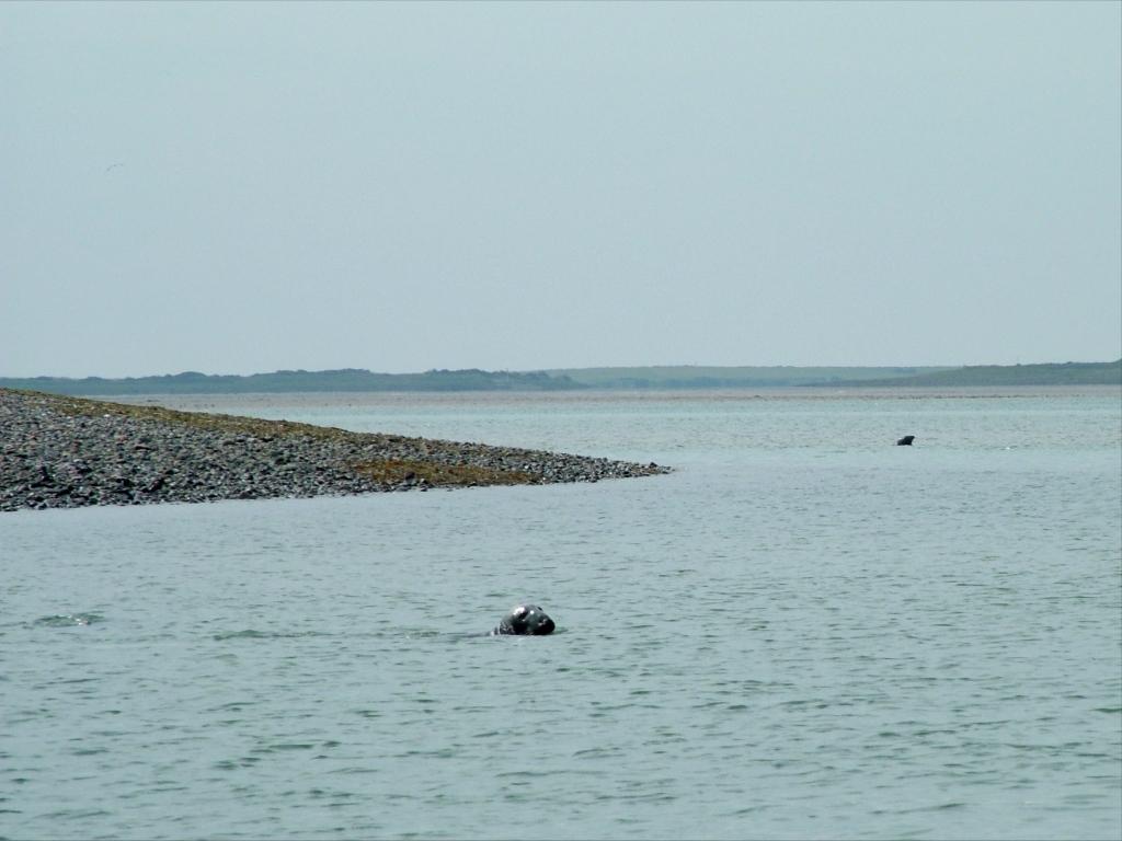 Click now to see this image full size.