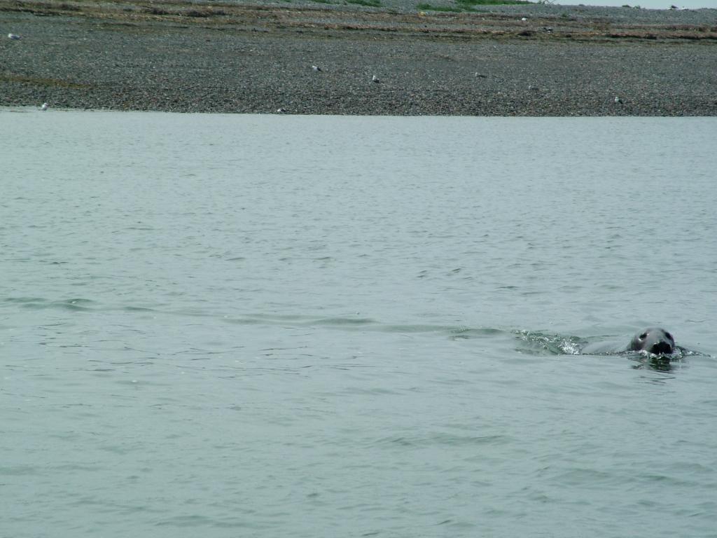 Click now to see this image full size.