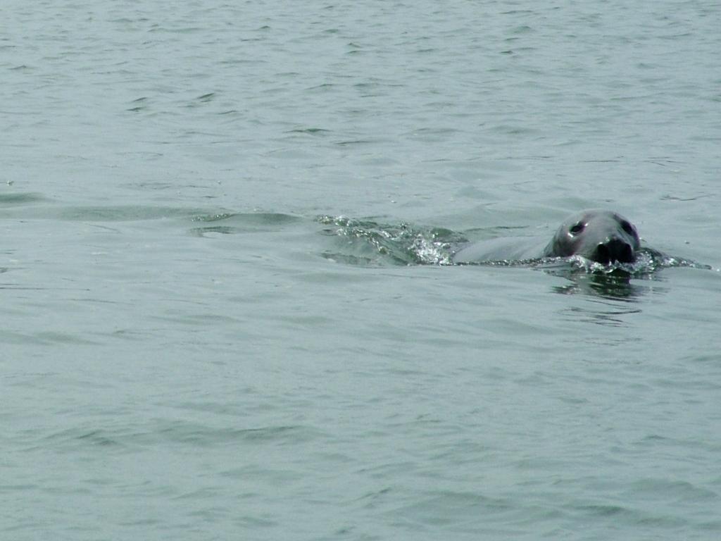 Click now to see this image full size.