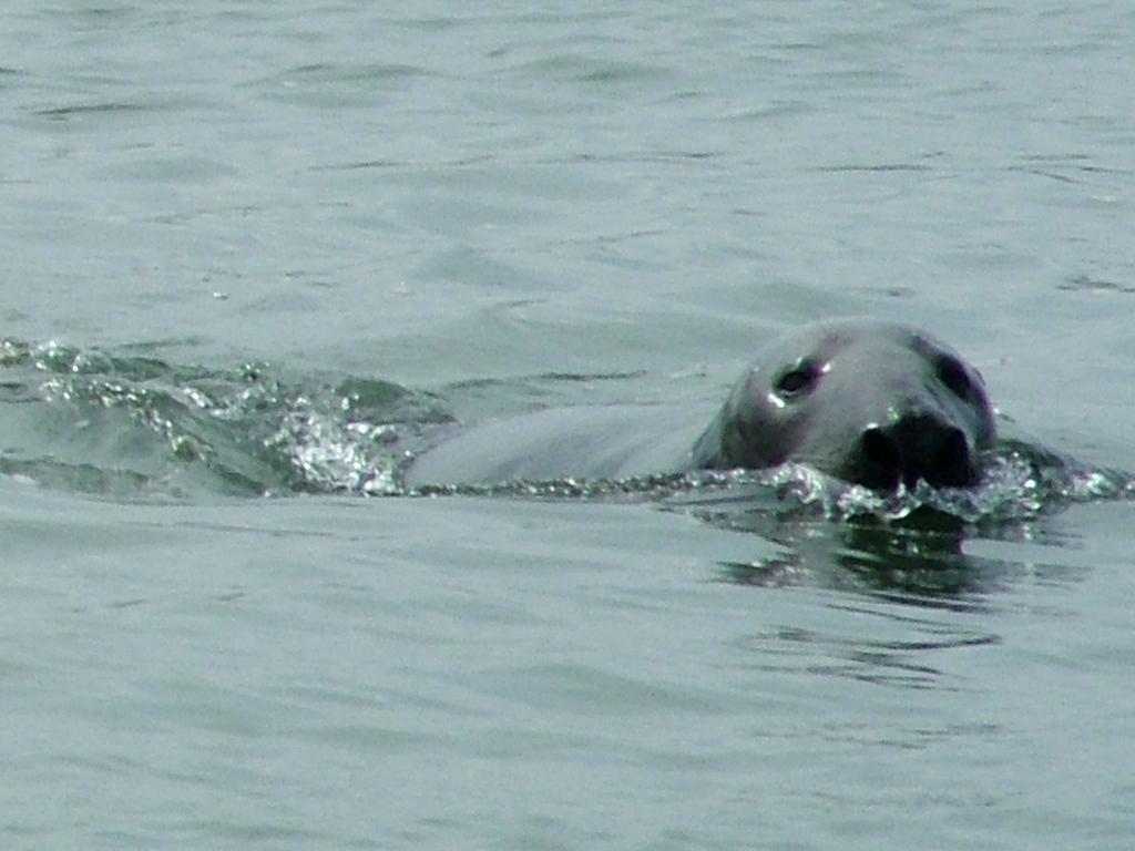 Click now to see this image full size.