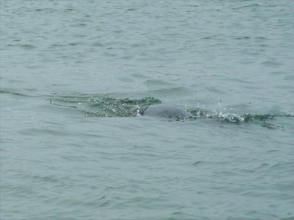 Click now to see this image full size.