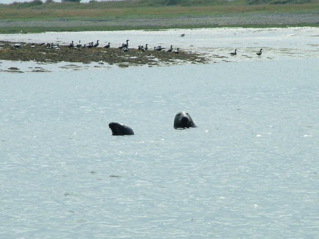 Click now to see this image full size.