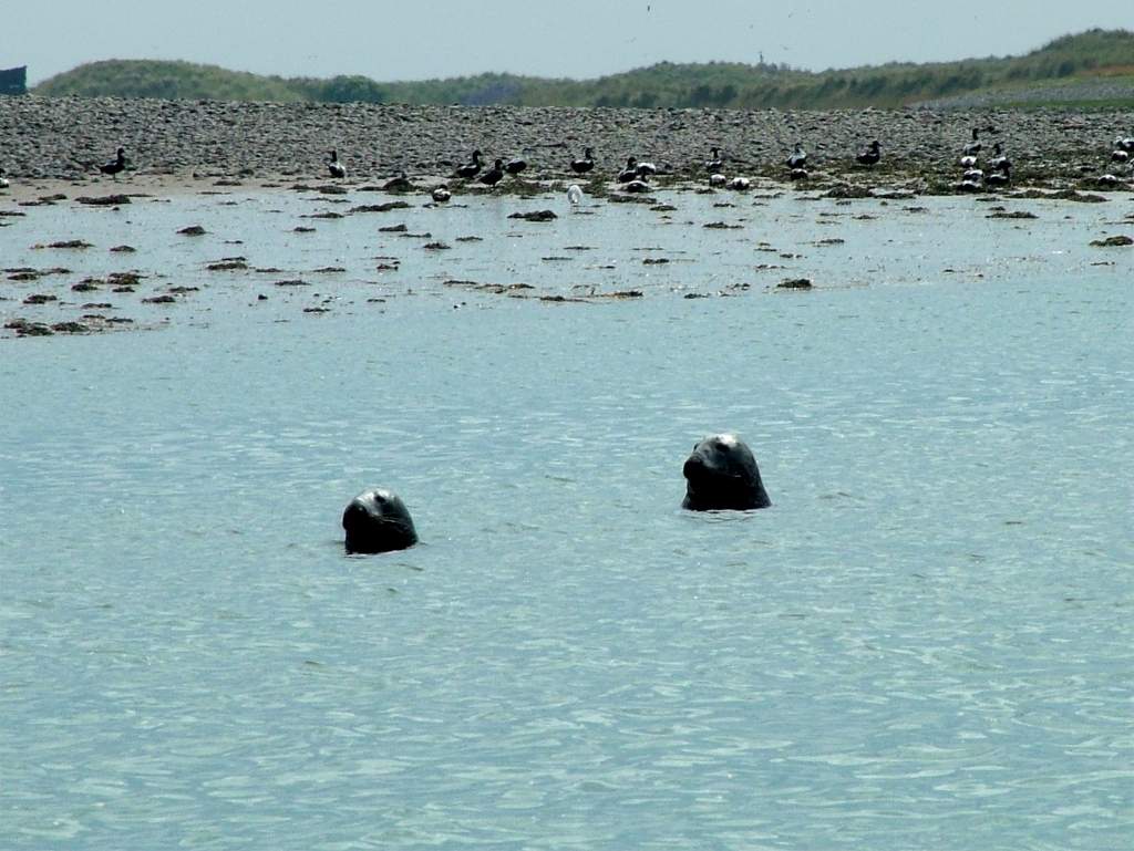 Click now to see this image full size.