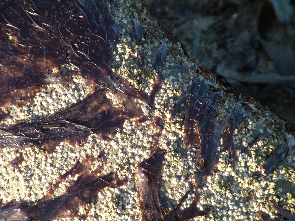 Click now to see this image full size.