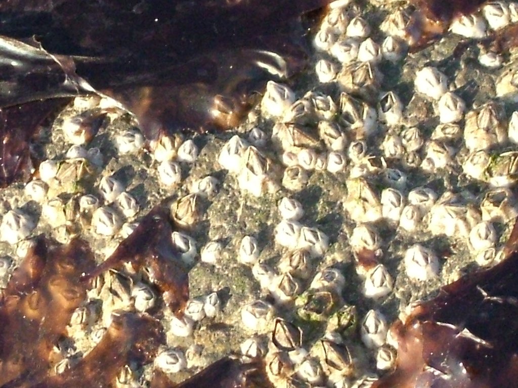 Click now to see this image full size.