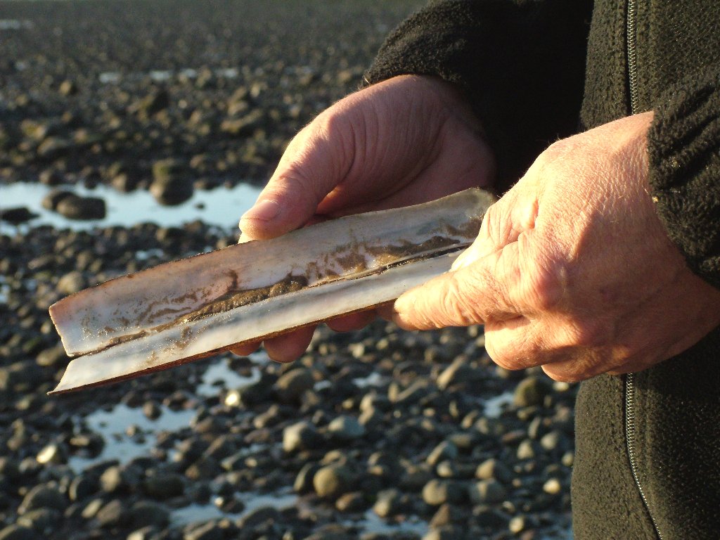 Click now to see this image full size.