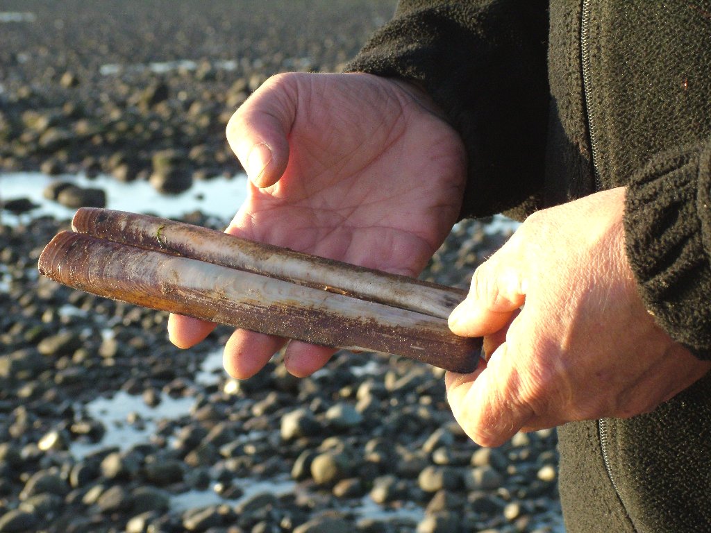 Click now to see this image full size.