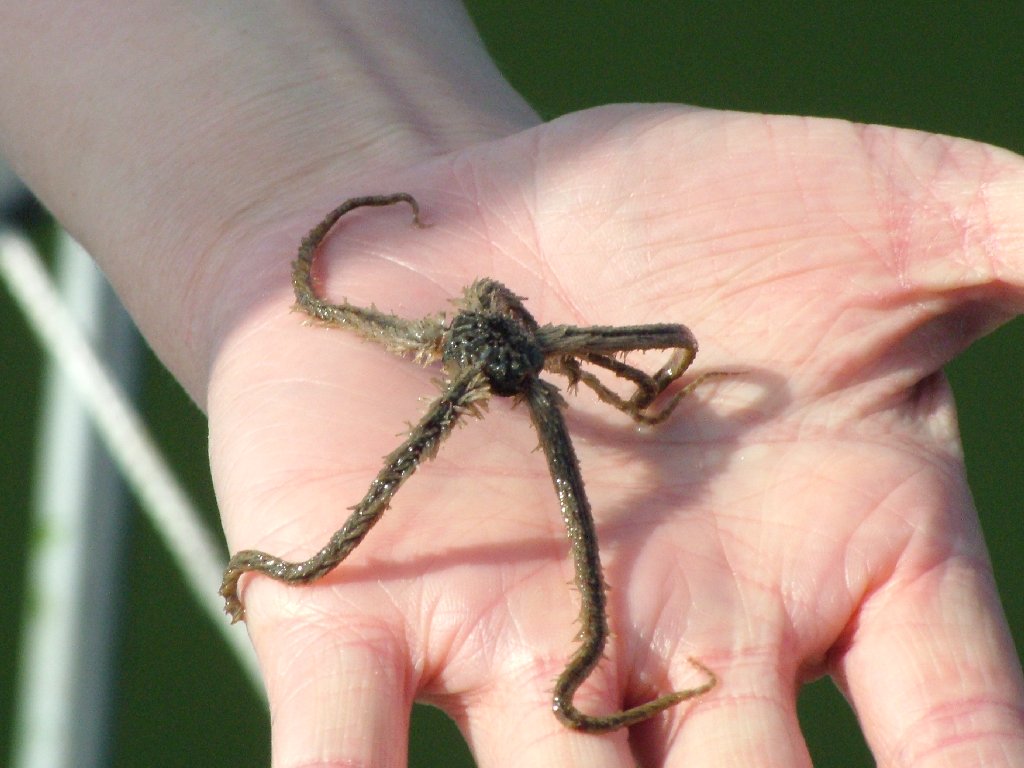 Click now to see this image full size.