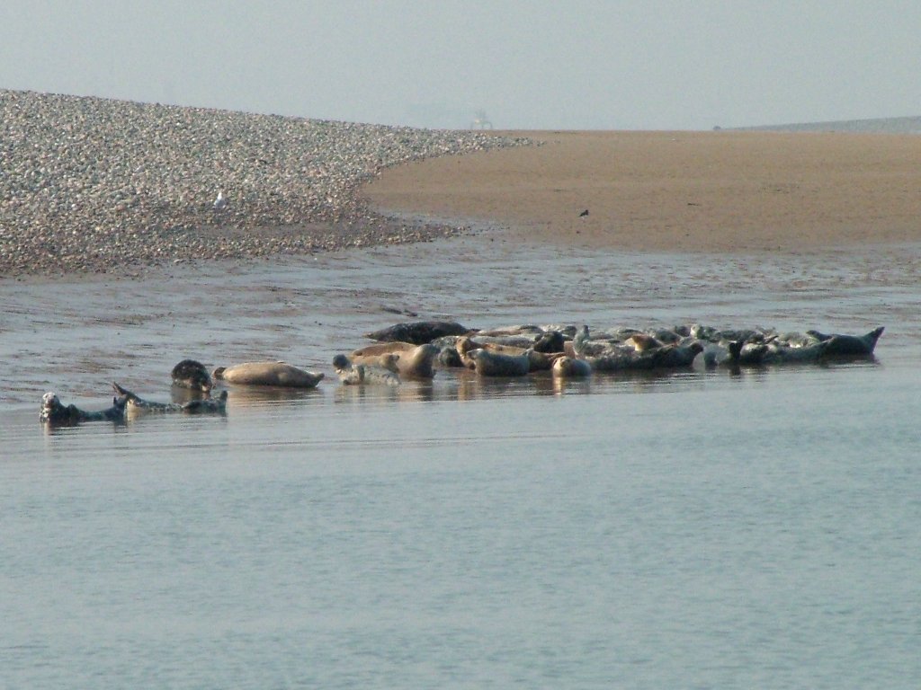 Click now to see this image full size.