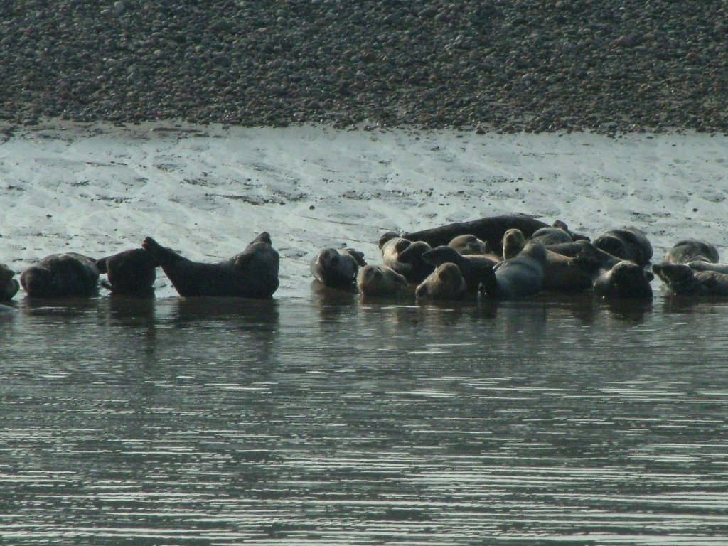 Click now to see this image full size.