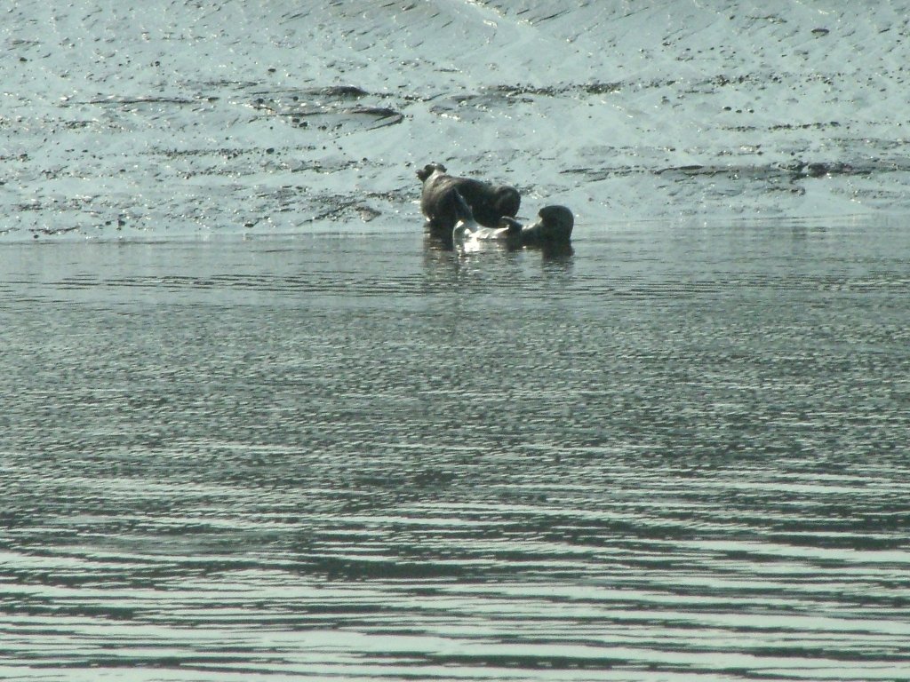 Click now to see this image full size.