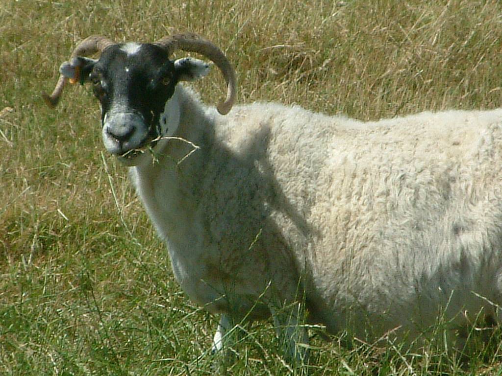 Click now to see this image full size.