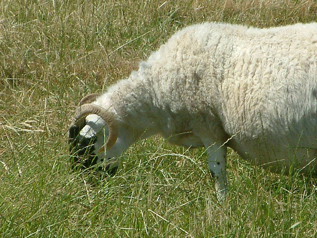 Click now to see this image full size.