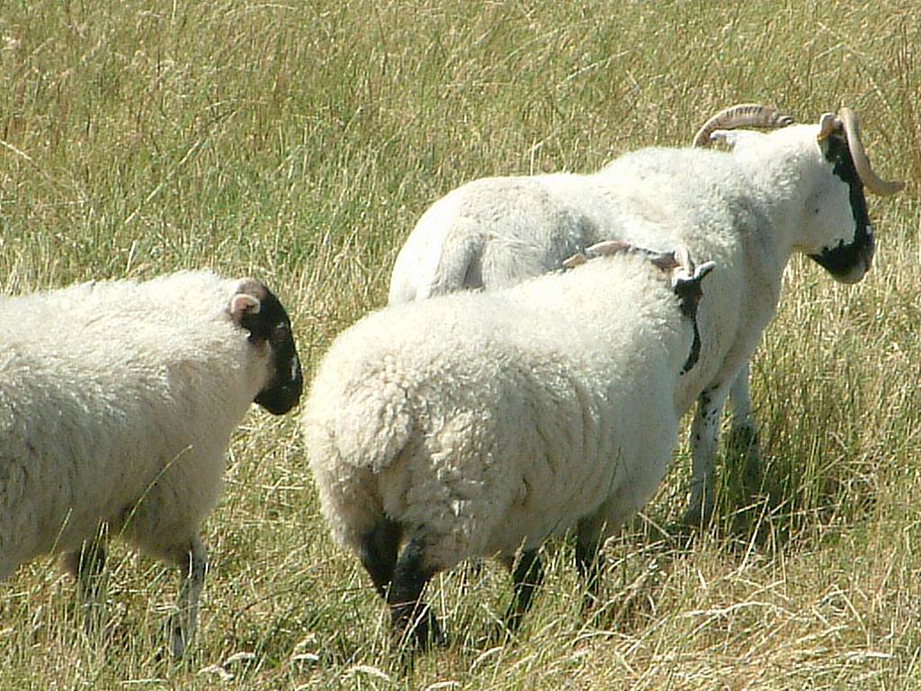 Click now to see this image full size.