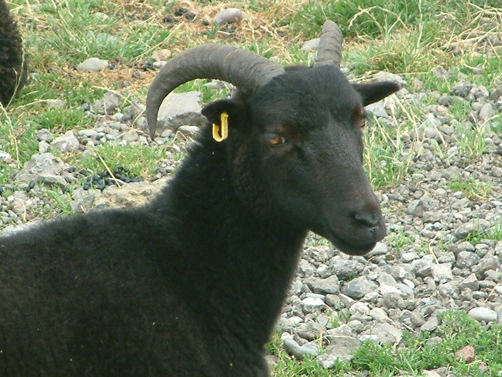 Click now to see this image full size.