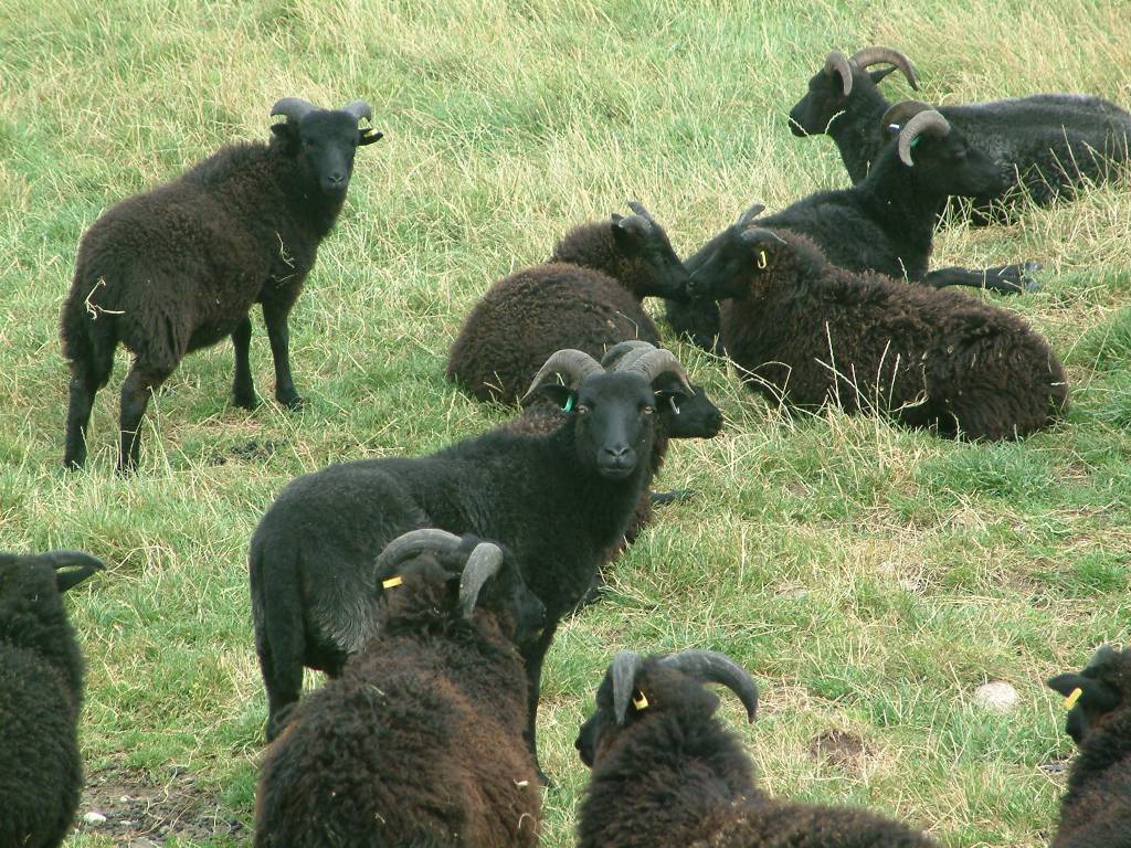 Click now to see this image full size.