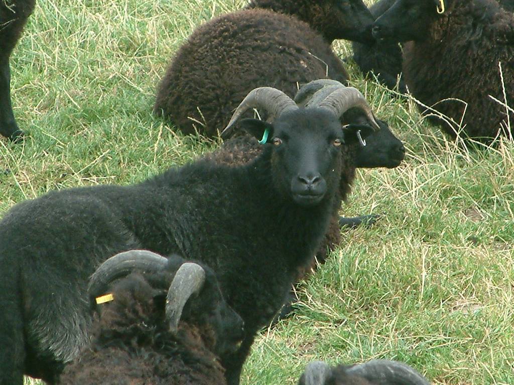 Click now to see this image full size.