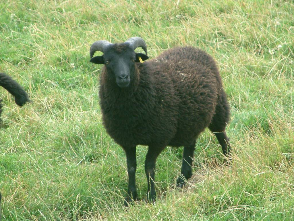 Click now to see this image full size.