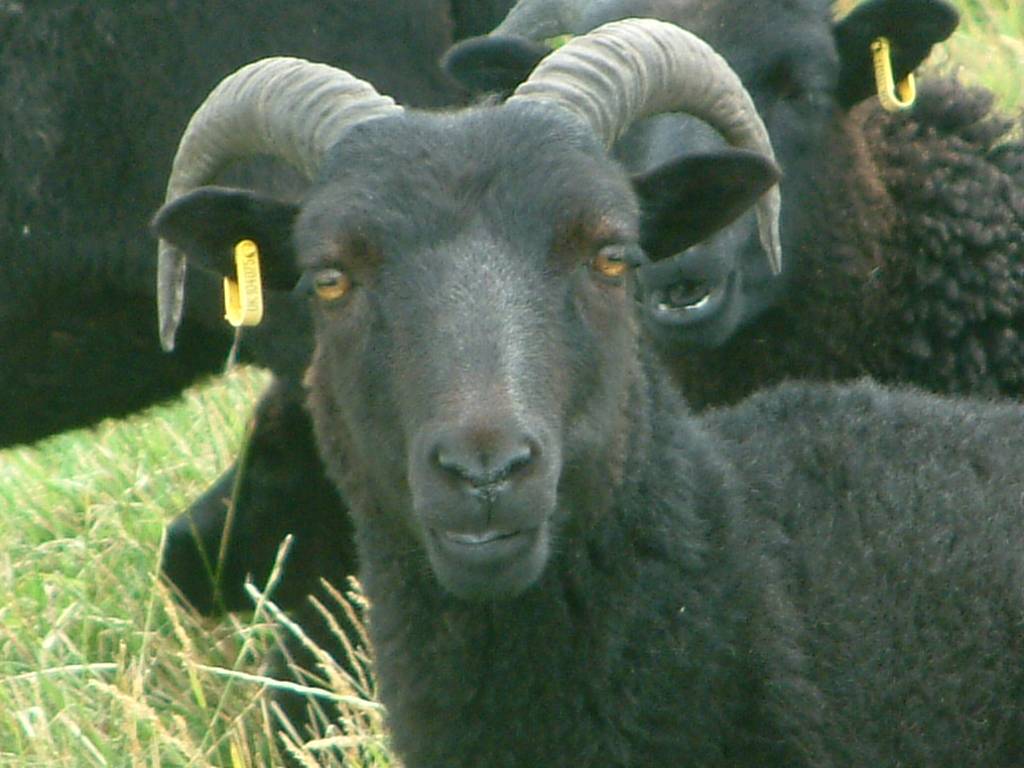 Click now to see this image full size.