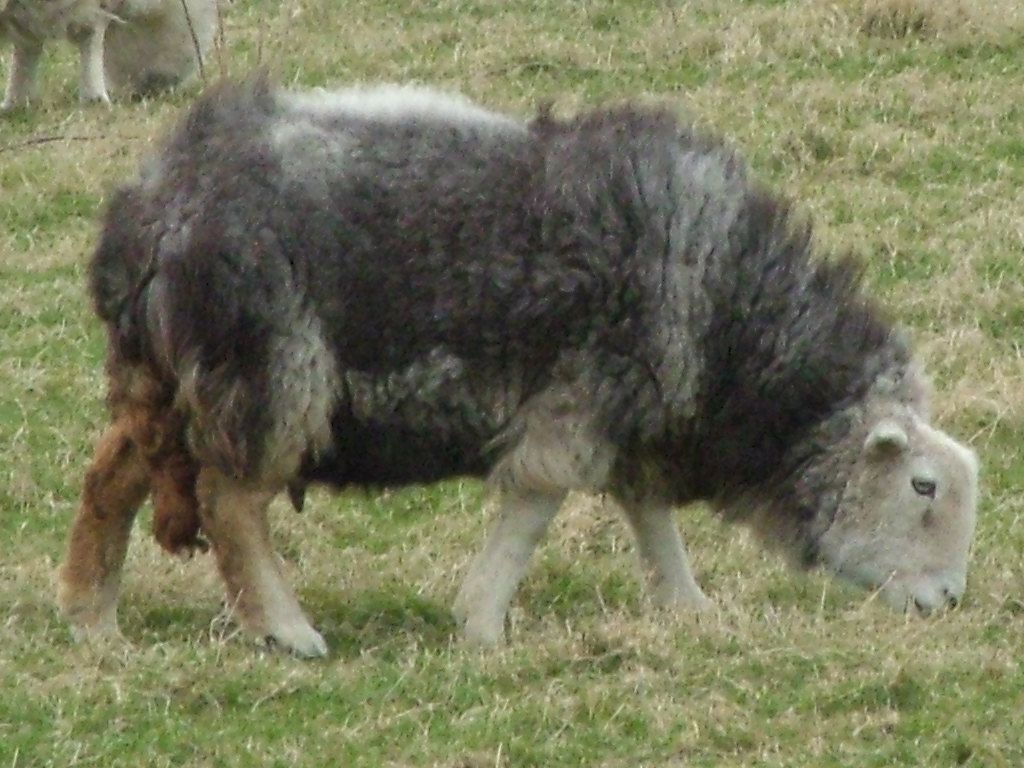 Click now to see this image full size.