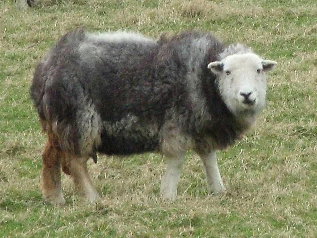 Click now to see this image full size.