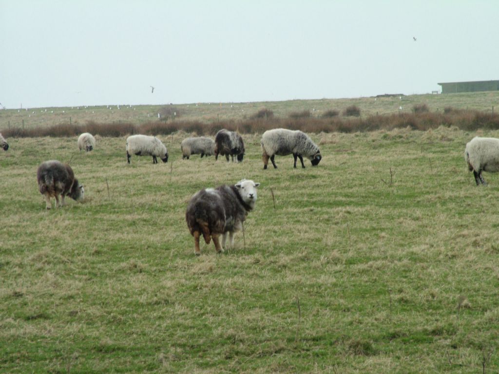 Click now to see this image full size.