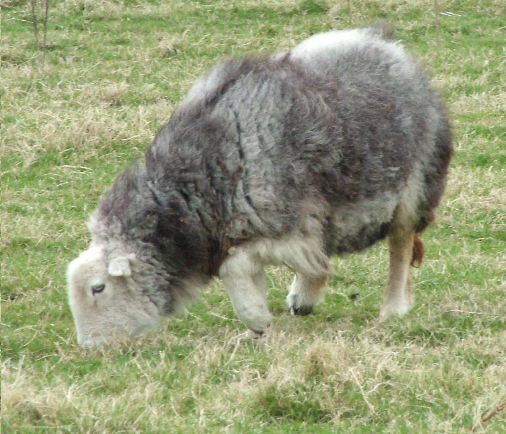 Click now to see this image full size.